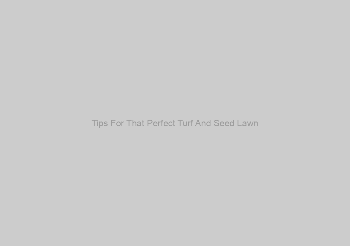 Tips For That Perfect Turf And Seed Lawn